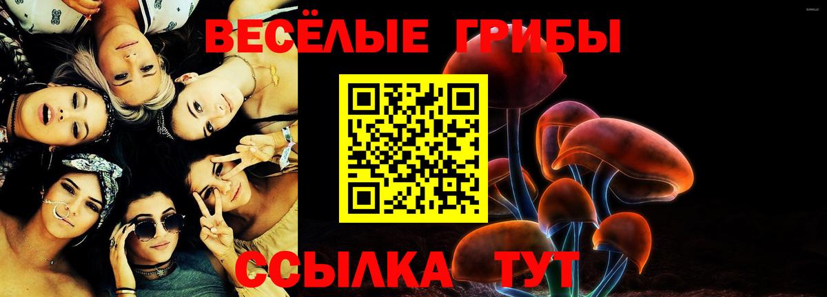 Псилоцибиновые грибы мицелий  Вход с VPN  Острогожск 